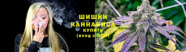 дмт Магадан
