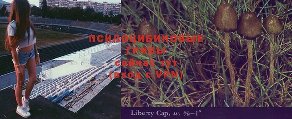 дурь Майский