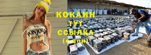 дмт Магадан