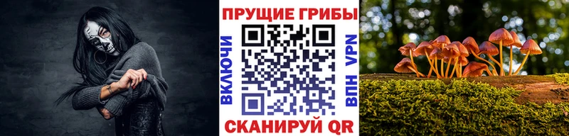 кракен рабочий сайт  Поворино  Галлюциногенные грибы Psilocybe 